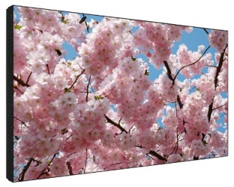 sharp pn-v601 videowall